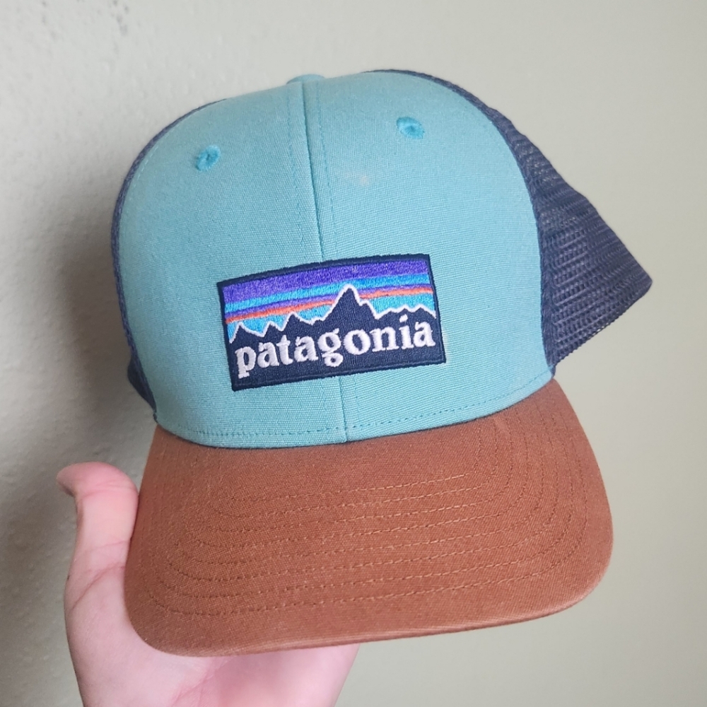 Patagonia Snspback Mens Cap